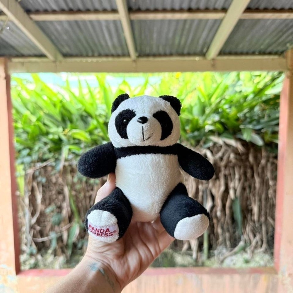 Panda‎ Express Panda Plush 2011 Experience Pandamonium Stuffed Toy Bear